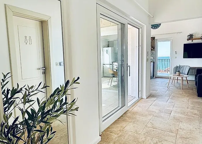 Vista Endless Summer * Ражанац